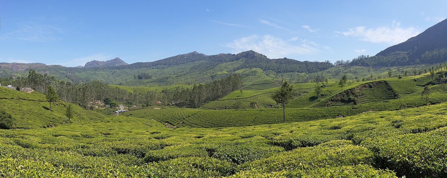 Kerala — भारत